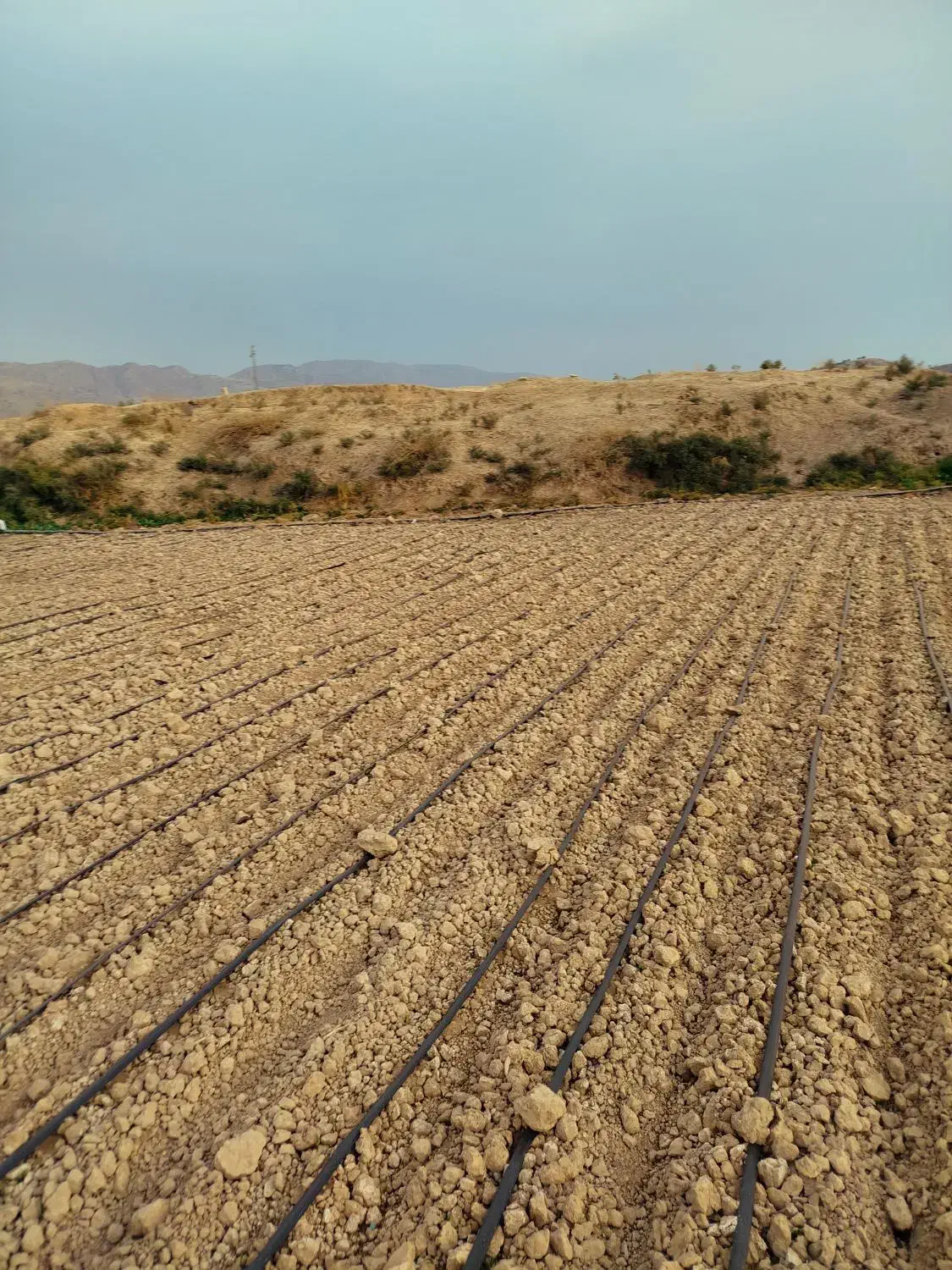 زمین کشاورزی برای باغچه|فروش زمین و ملک کلنگی|نورآباد ممسنی, |دیوار