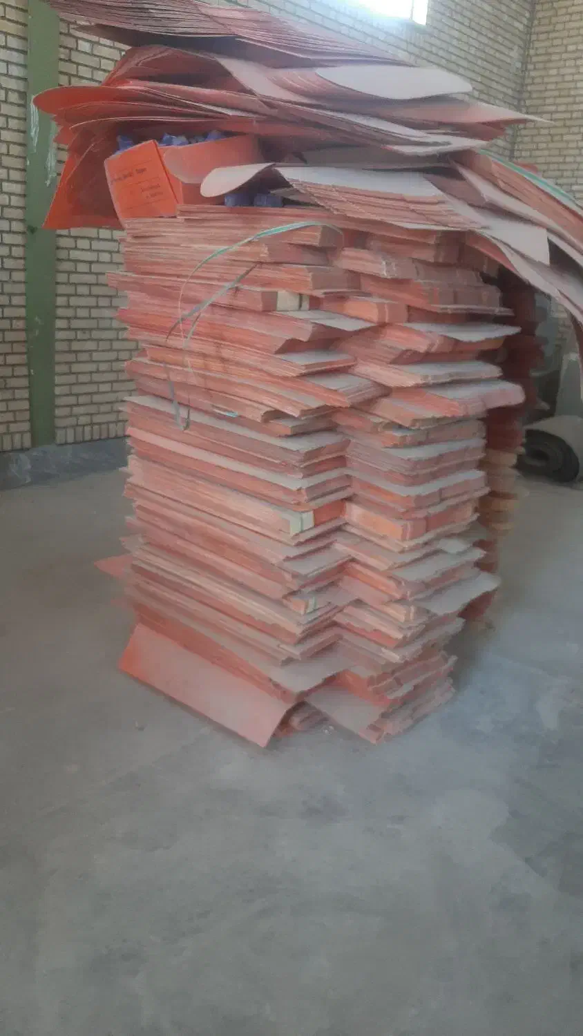 کارتن پلاستیکی|فعالیت داوطلبانه تحقیقاتی|سلفچگان, |دیوار