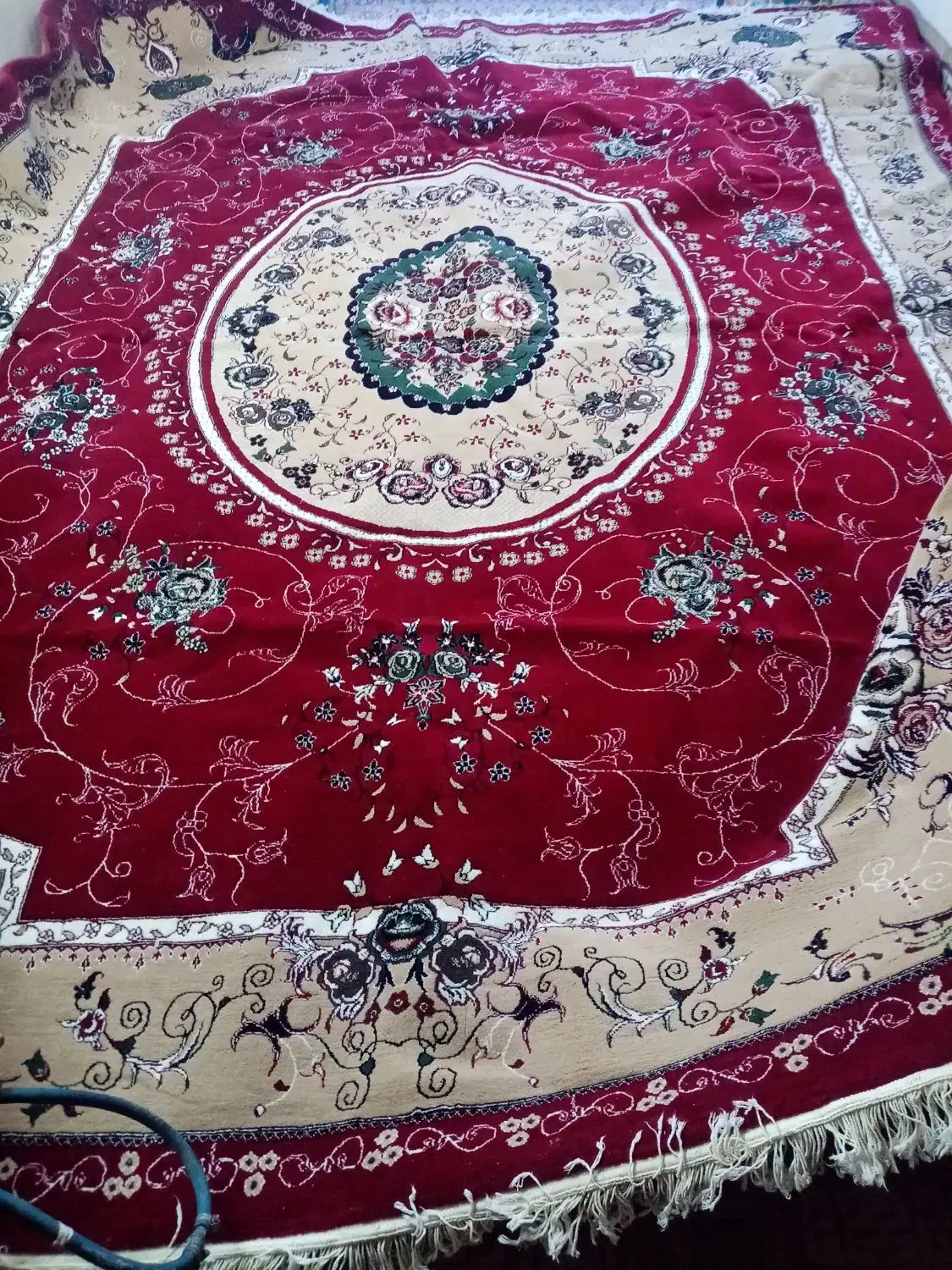 قالی|فرش|زرند, |دیوار