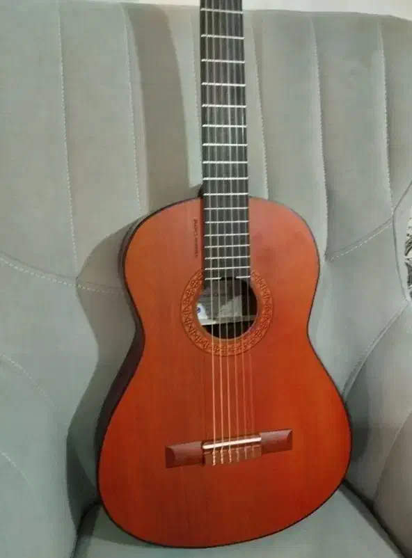 ساز نو|گیتار، بیس، امپلیفایر|ایلام, |دیوار