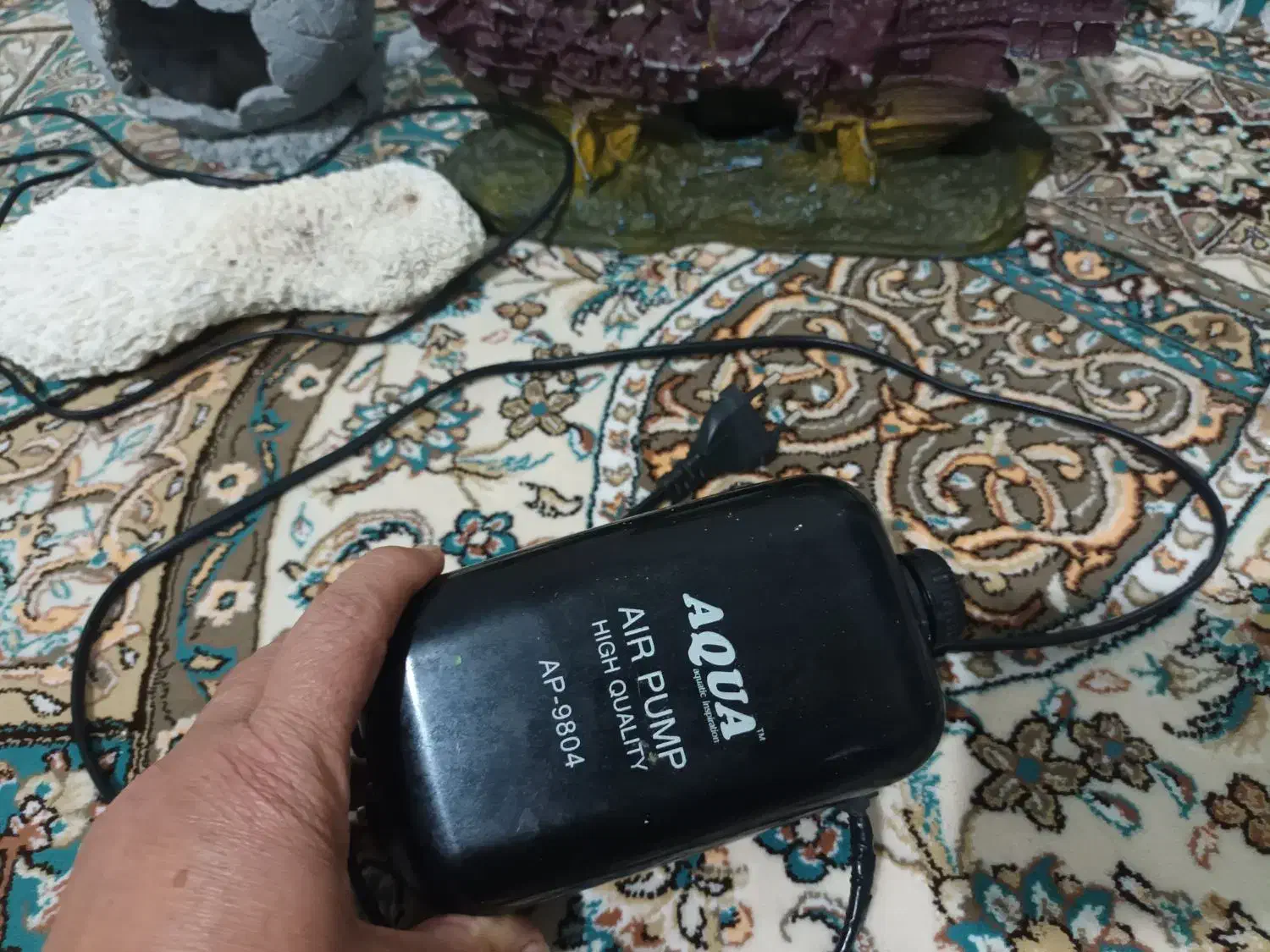 آکواریوم|ماهی|سبزوار, باهنر|دیوار