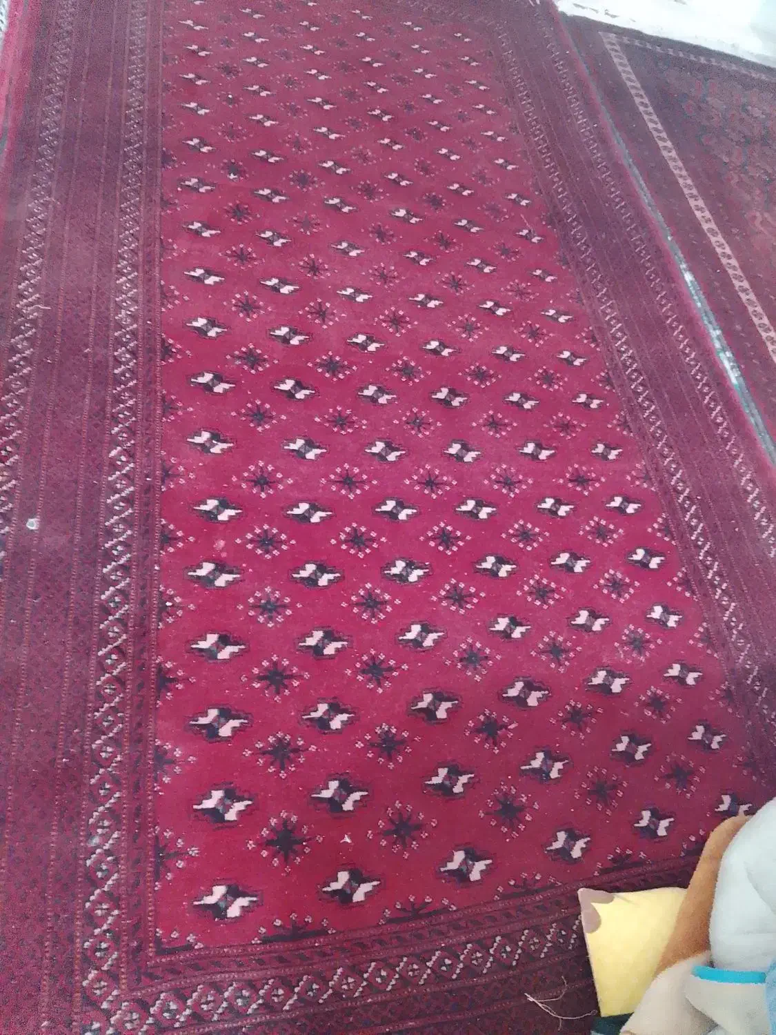 فرش دستبافت|فرش|مشهد, شهید قربانی|دیوار