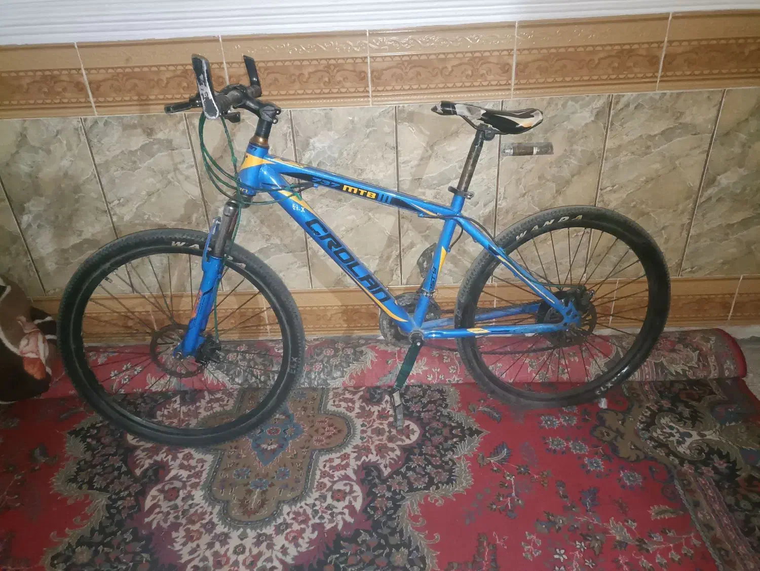 دوچرخه 26|دوچرخه، اسکیت، اسکوتر|یاسوج, |دیوار