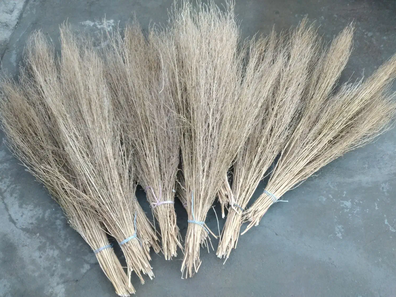 فروش ۱۰عدد جارو دستی دسته بلند یکجا هرکدوم ۵۰تومن|لوازم نظافت|میاندوآب, |دیوار