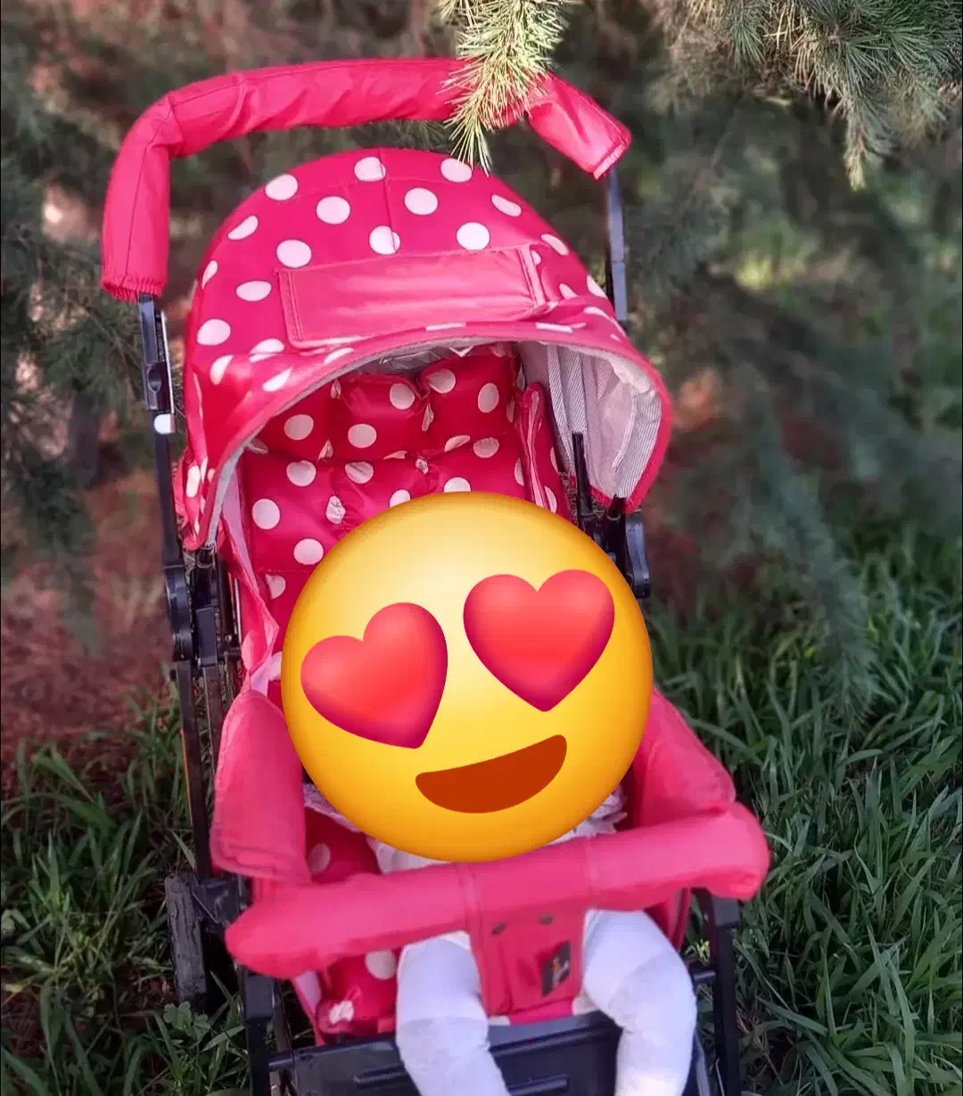 کالسکه|کالسکه و لوازم جانبی|پرند, فاز ۴|دیوار