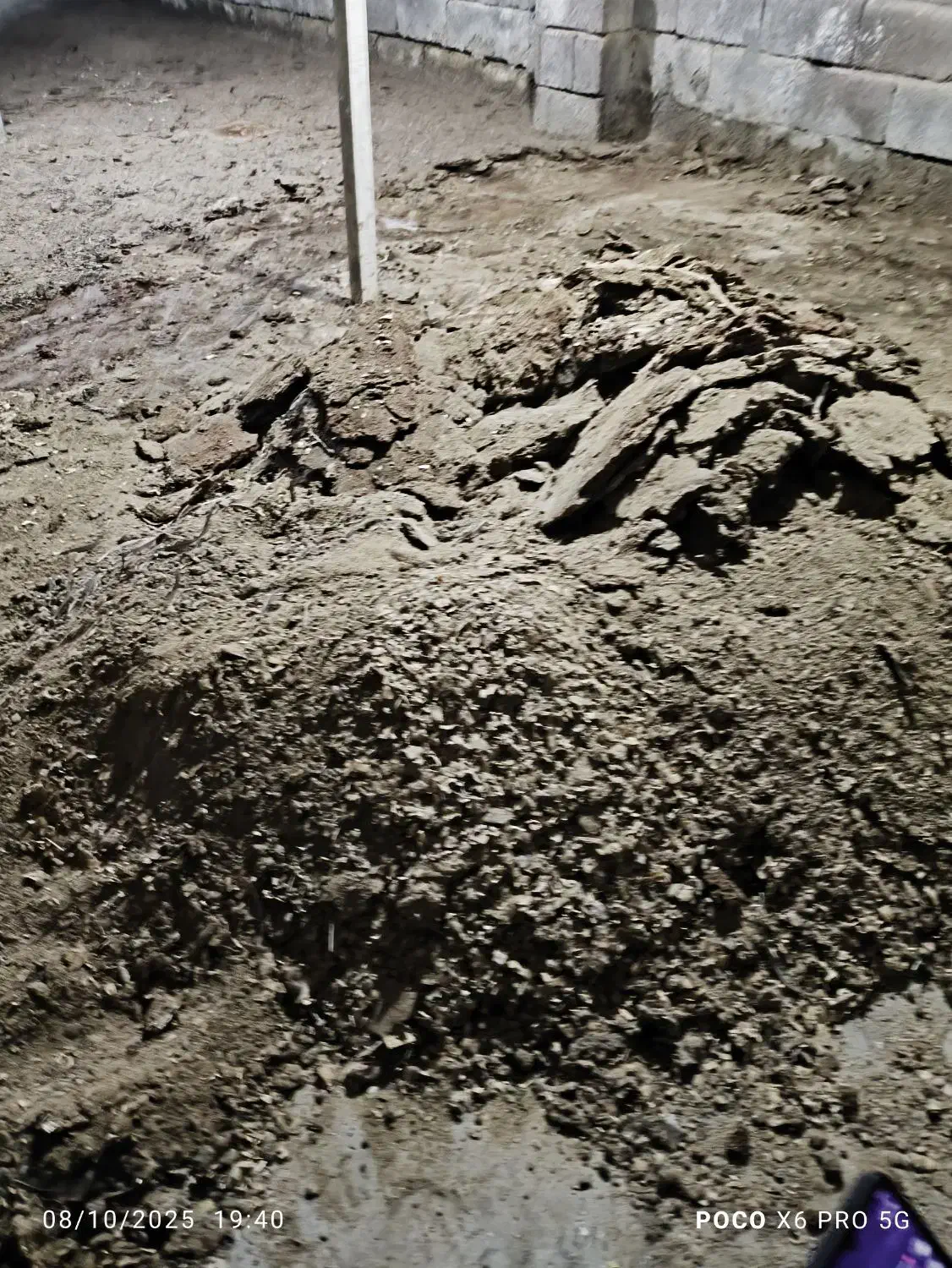 کود مرغی خشک|گل و گیاه طبیعی|اطاقور, |دیوار