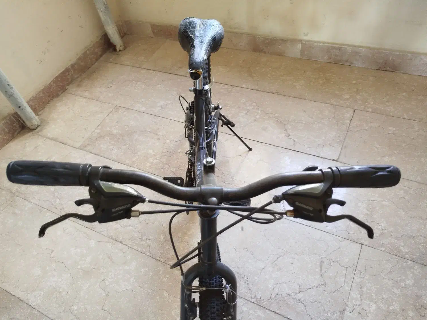 دوچرخه ۲۶ الگانس|دوچرخه، اسکیت، اسکوتر|پرند, فاز ۶|دیوار