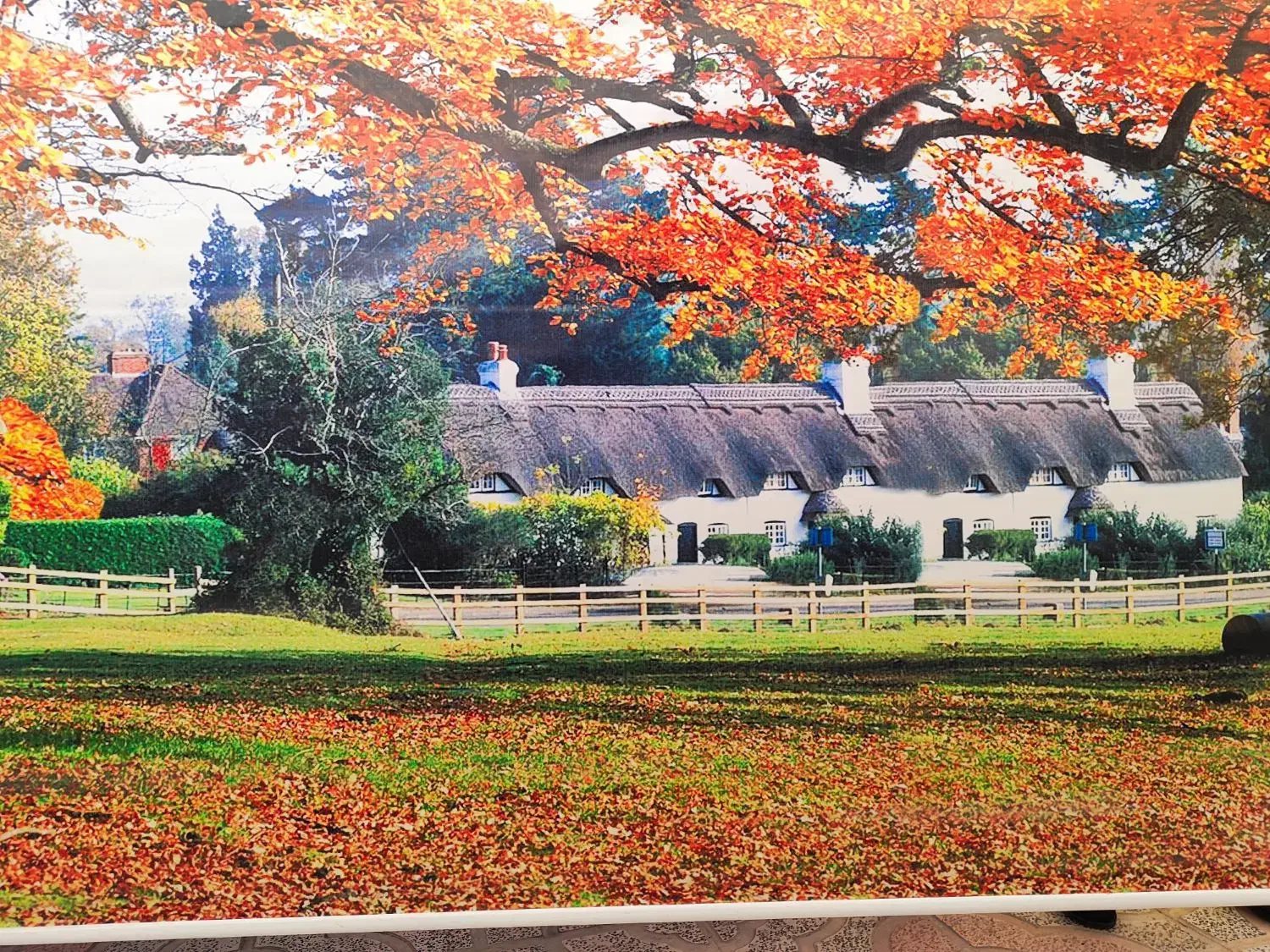 پرده کرکره و پرده طرح منظره پاییزی|پرده، رانر، رومیزی|فولادشهر, A3|دیوار