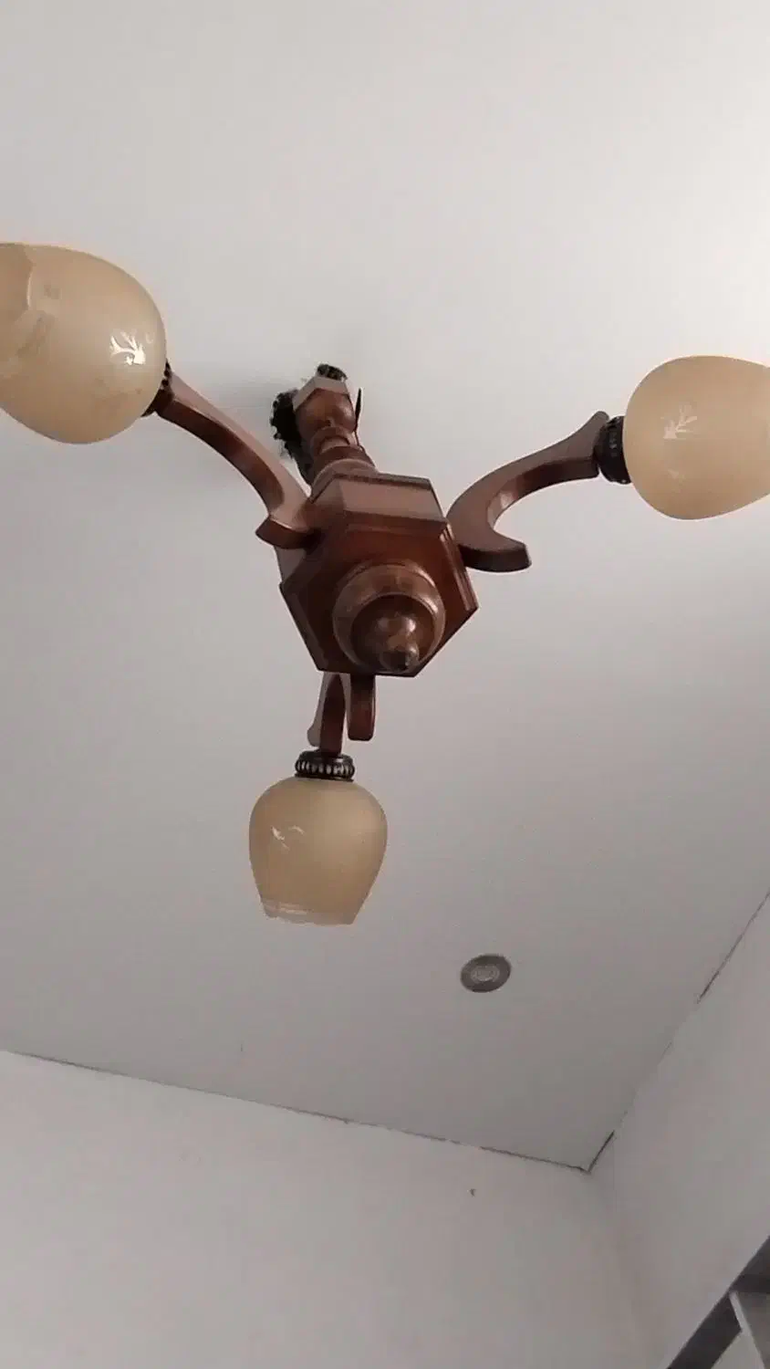 لوستر چوبی کلاسیک|لوستر و چراغ آویز|رشت, دیانتی|دیوار