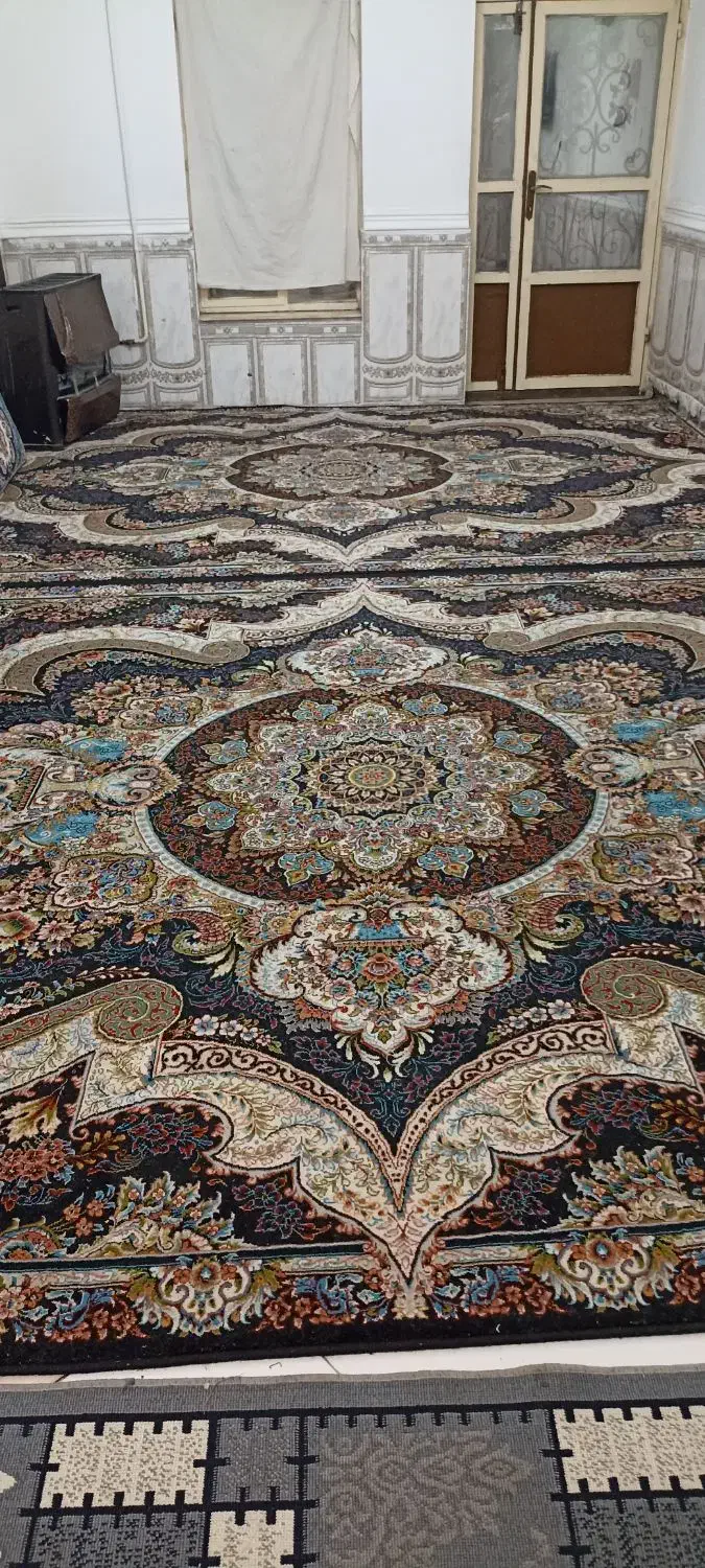 فرش 700شانه تراکم 5500|فرش|شاندیز, |دیوار