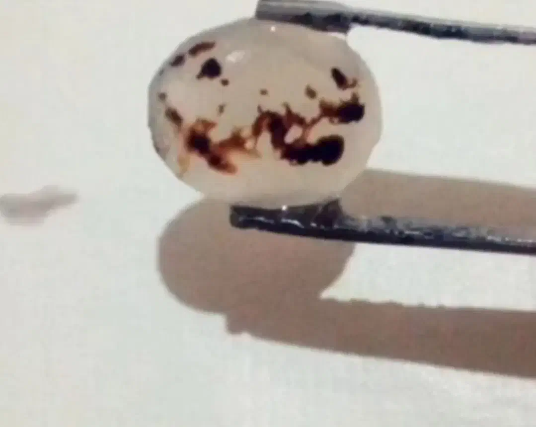 عقیق شجراسمی حسین محمد|کلکسیون اشیاء عتیقه|قم, زند آباد|دیوار