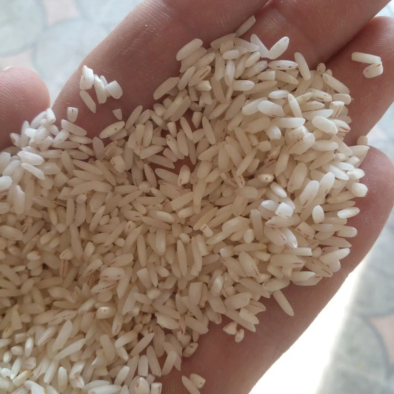 برنج باب خانه هاشمی|خوردنی و آشامیدنی|لاهیجان, جمهوری|دیوار