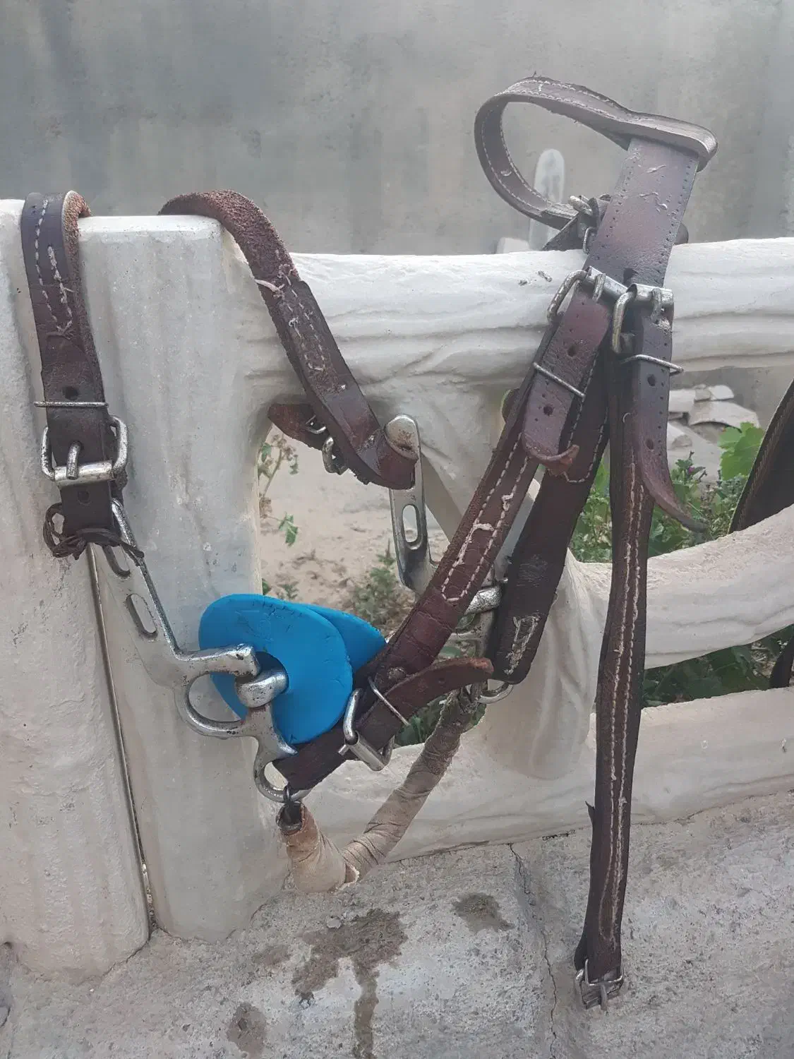 وسایل اسب سواری صفر تاصد موجوده|اسب و تجهیزات اسبسواری|باخزر, |دیوار