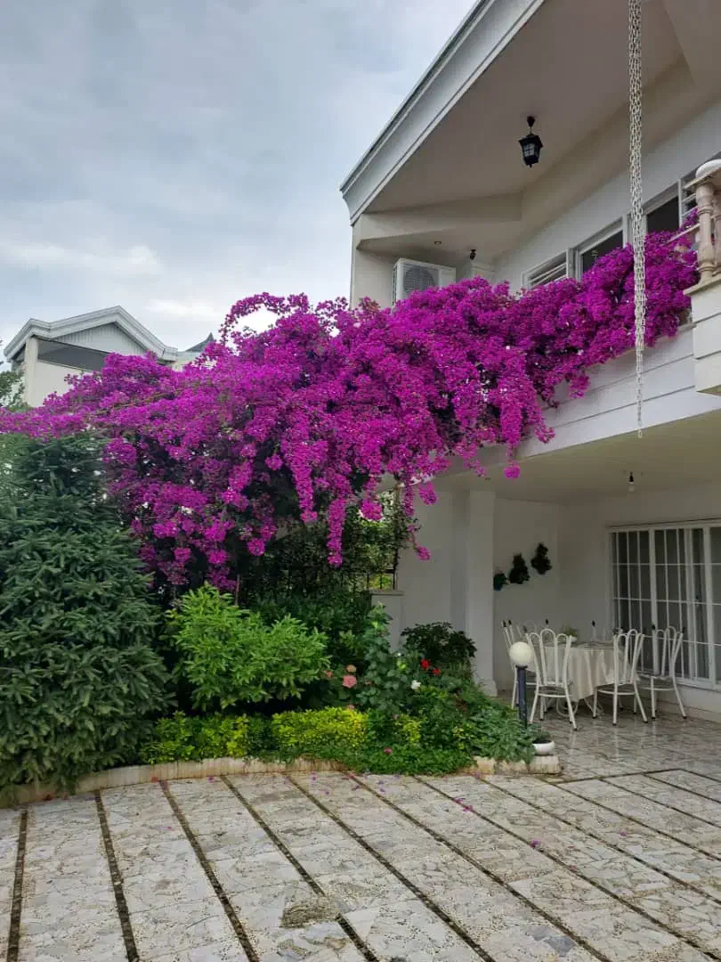 اجاره روزانه/هفتگی/ماهانه ویلا ۹۰ متری|اجارهٔ کوتاه‌مدت ویلا و باغ|چالوس, |دیوار