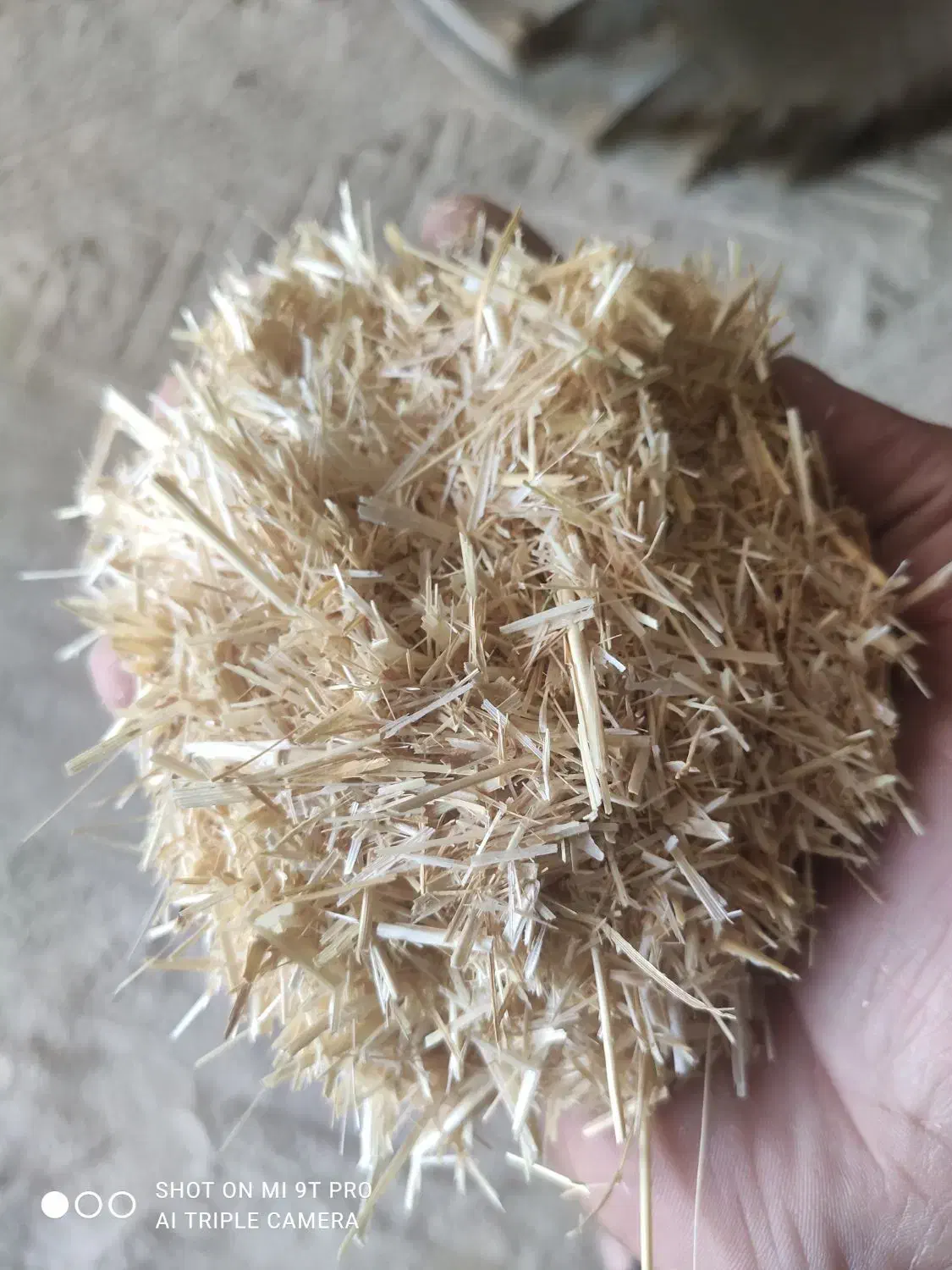 کاه گندم دیم کیلوی 12هزار.|حیوانات مزرعه|خزل, |دیوار