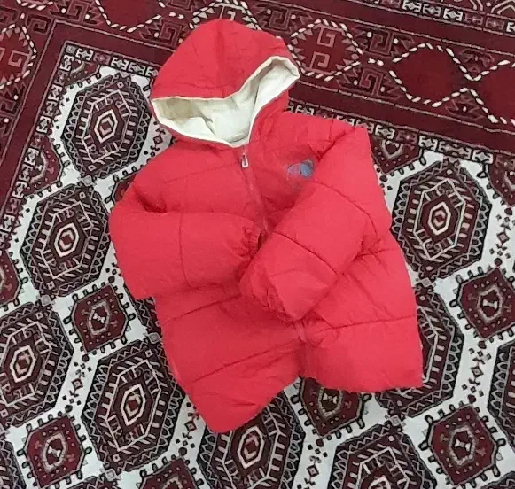 کاپشن بچه گانه|کفش و لباس بچه|گنبد کاووس, |دیوار