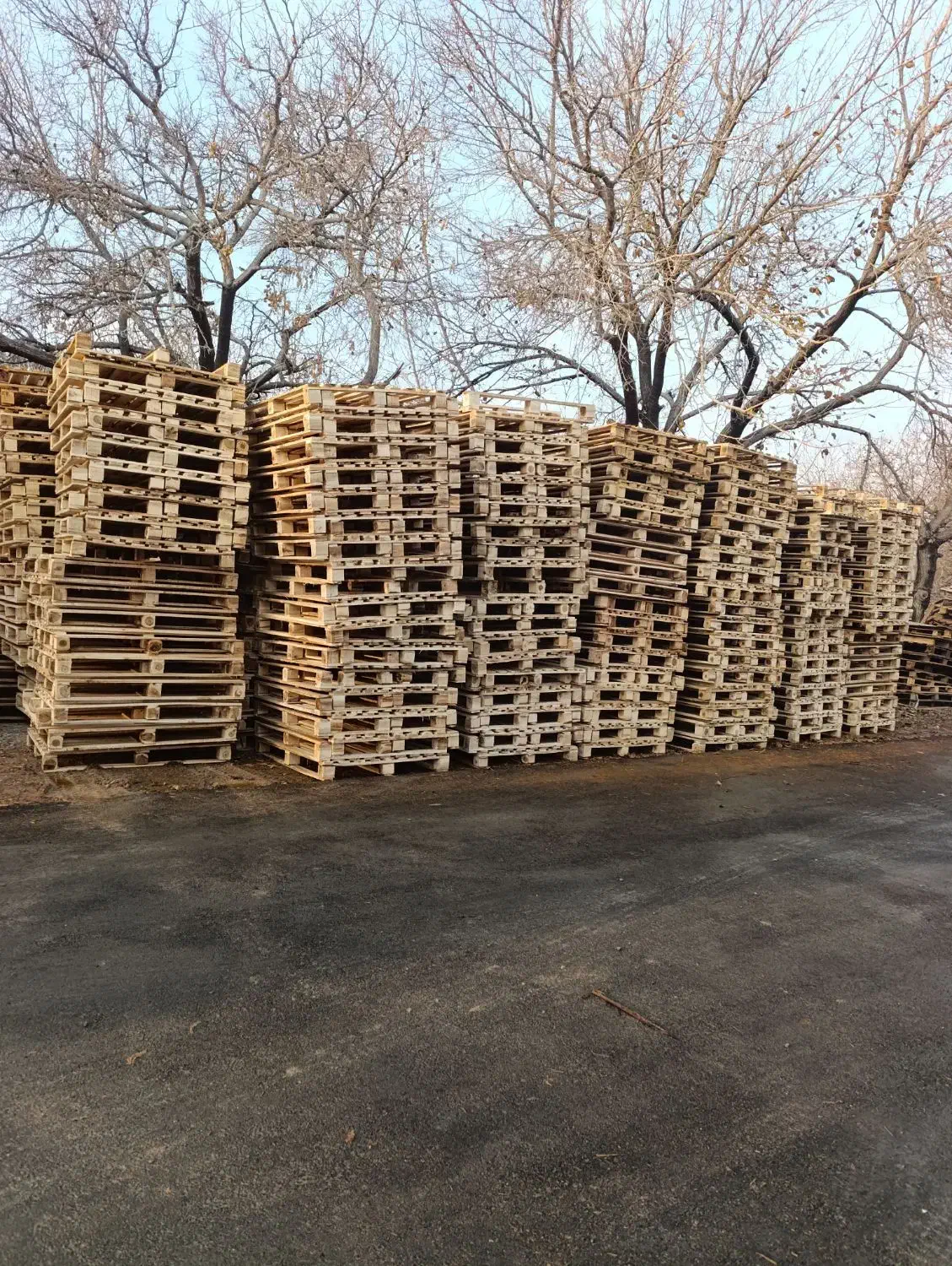 پالت|مصالح و تجهیزات ساختمان|مشهد, شهرک صنعتی توس|دیوار