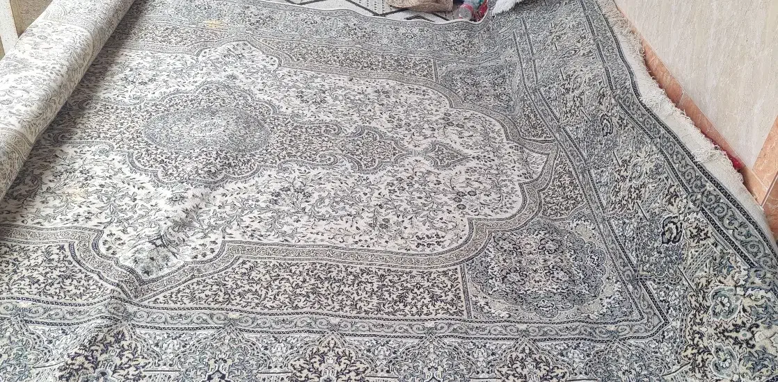 فرش 12متری|فرش|رودسر, |دیوار