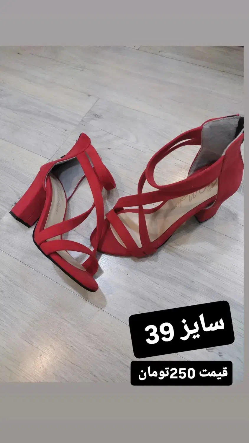 کفش مجلسی زنانه|کیف، کفش، کمربند|اردبیل, |دیوار