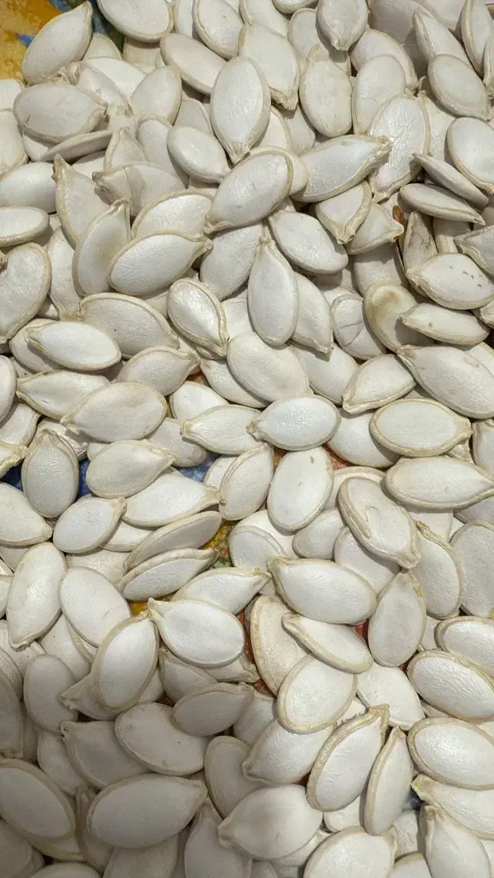 فروش تخمه مرمری یا صدفی|خوردنی و آشامیدنی|سده (فارس), |دیوار