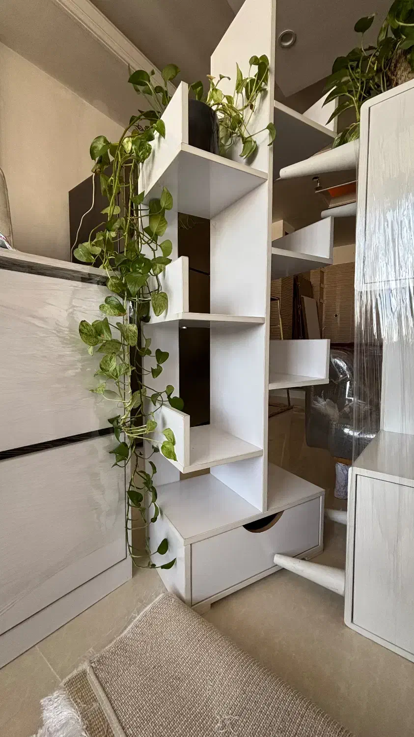 کتابخانه|کتابخانه، شلف، قفسههای دیواری|رباطکریم, رباطکریم|دیوار