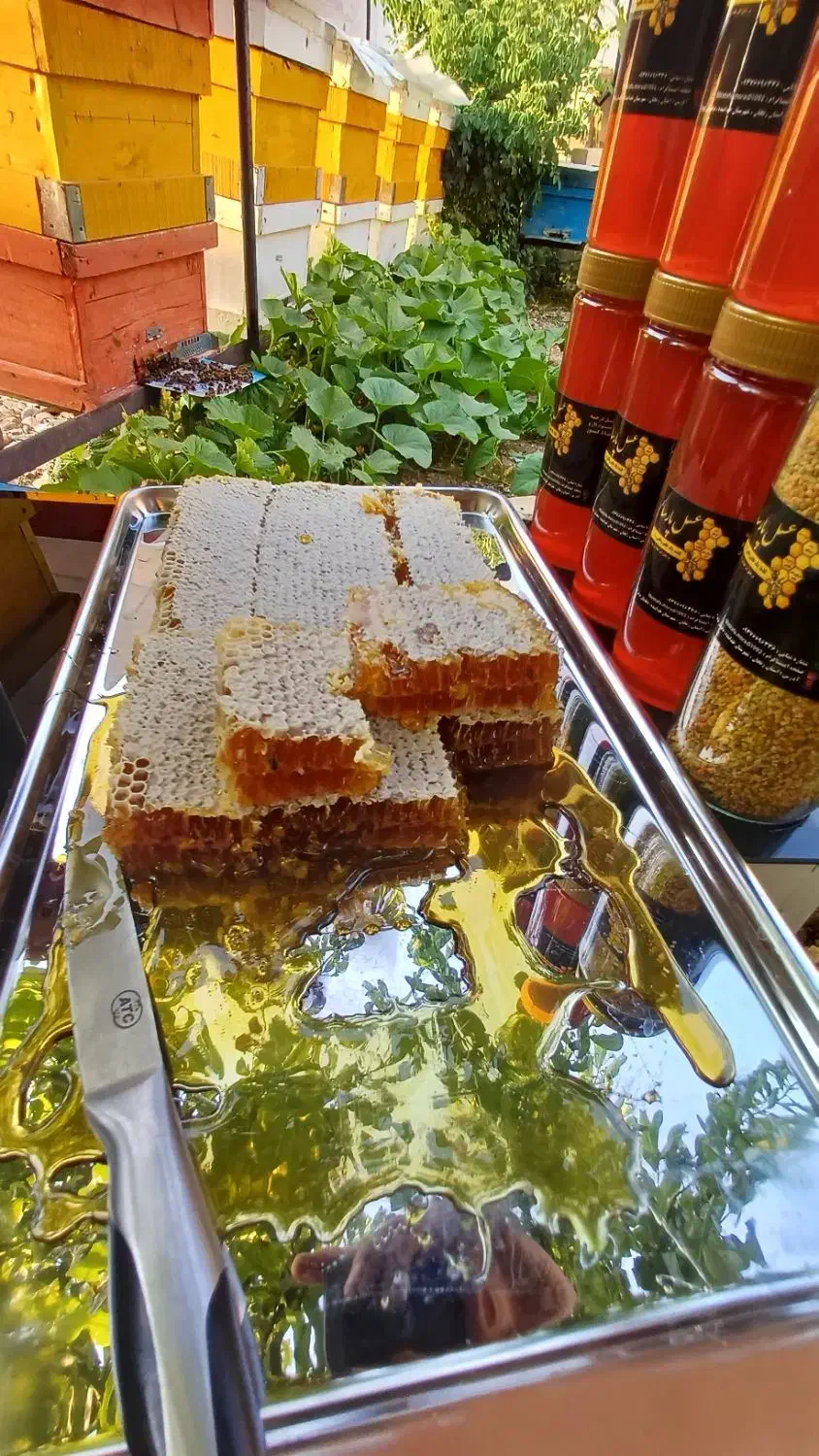 عسل طبیعی بهاره به شرط مرجوعی|خوردنی و آشامیدنی|قیدار, |دیوار