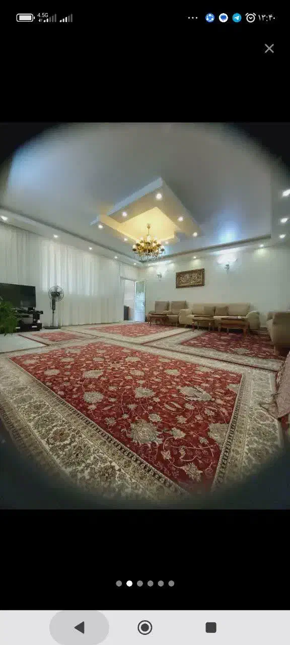 فرش ماشینی|فرش|شاندیز, |دیوار