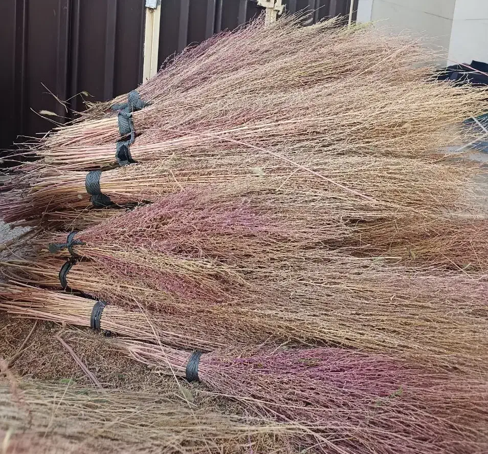 جاروی محلی رسیده و قرمز|لوازم نظافت|خرم‌آباد, |دیوار