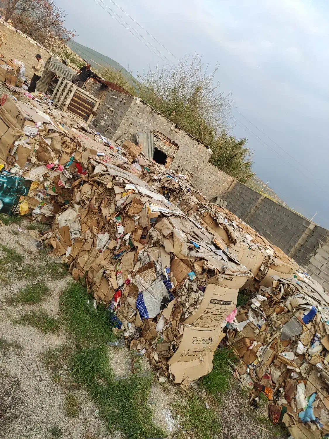 به کارگر ساده نیازمندیم|استخدام صنعتی، فنی، مهندسی|کلاله, |دیوار