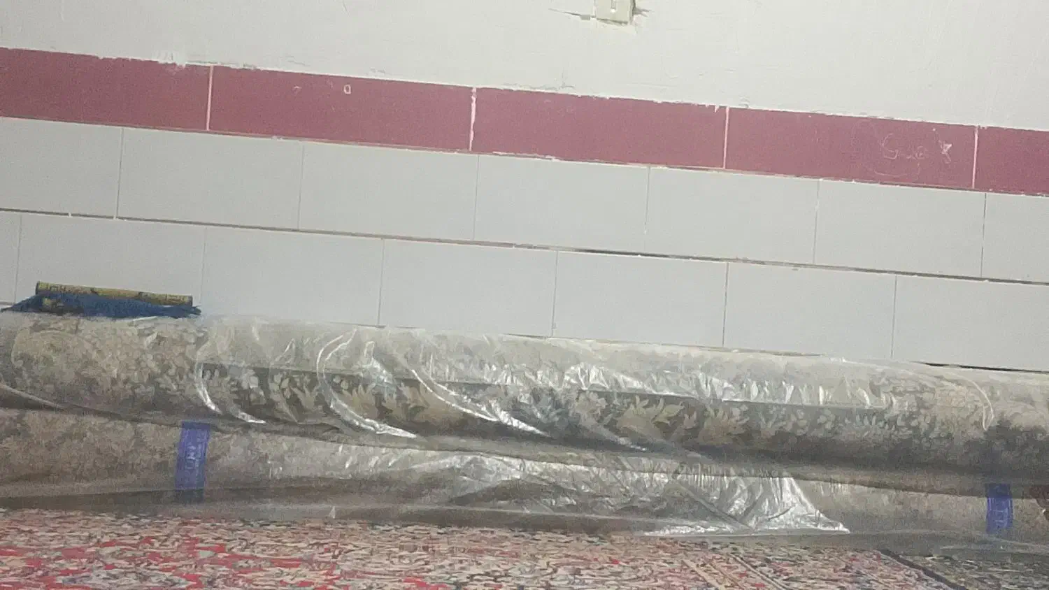 قالی 12متری|فرش|آباده, |دیوار