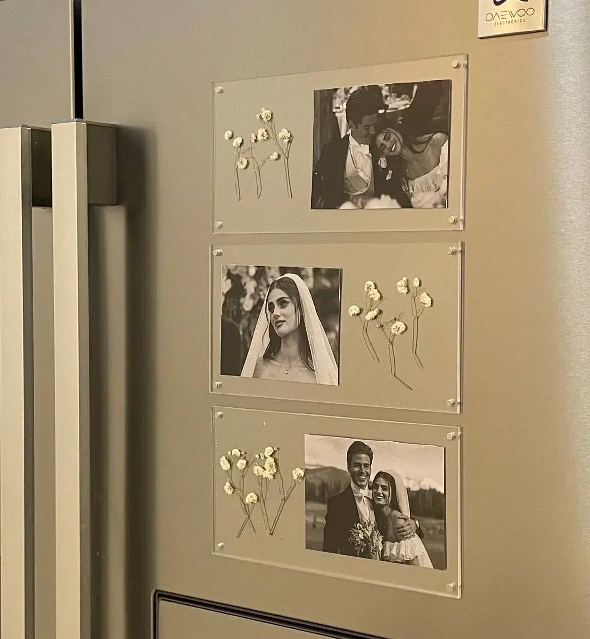 تزئینی|تابلو، نقاشی، عکس|شیراز, لاله|دیوار