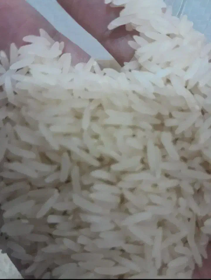 برنج طارم هاشمی درجه یک|خوردنی و آشامیدنی|ایرانشهر, |دیوار