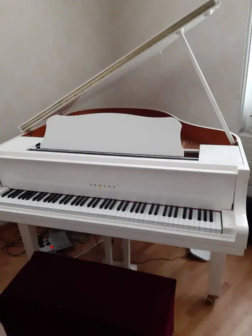 پیانو آکوستیک رویال یاماها|پیانو، کیبورد، آکاردئون|تهران, بلوار کشاورز|دیوار