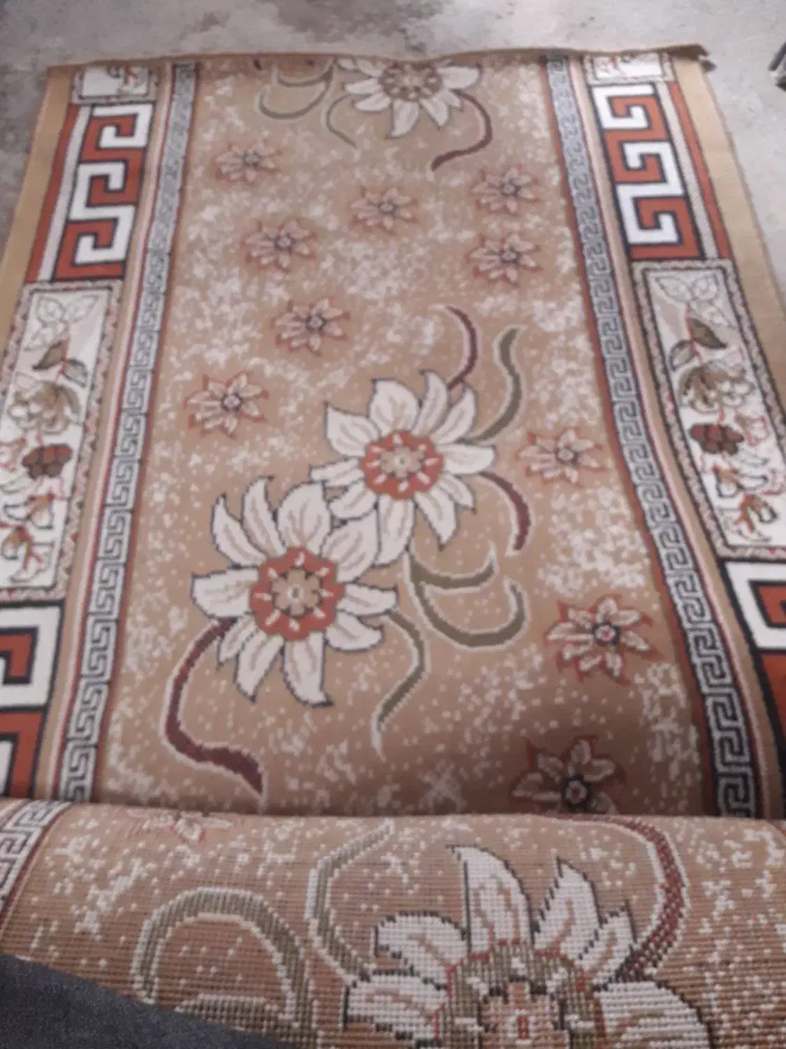 کناره ۸۰در۶متری|فرش|بوکان, |دیوار