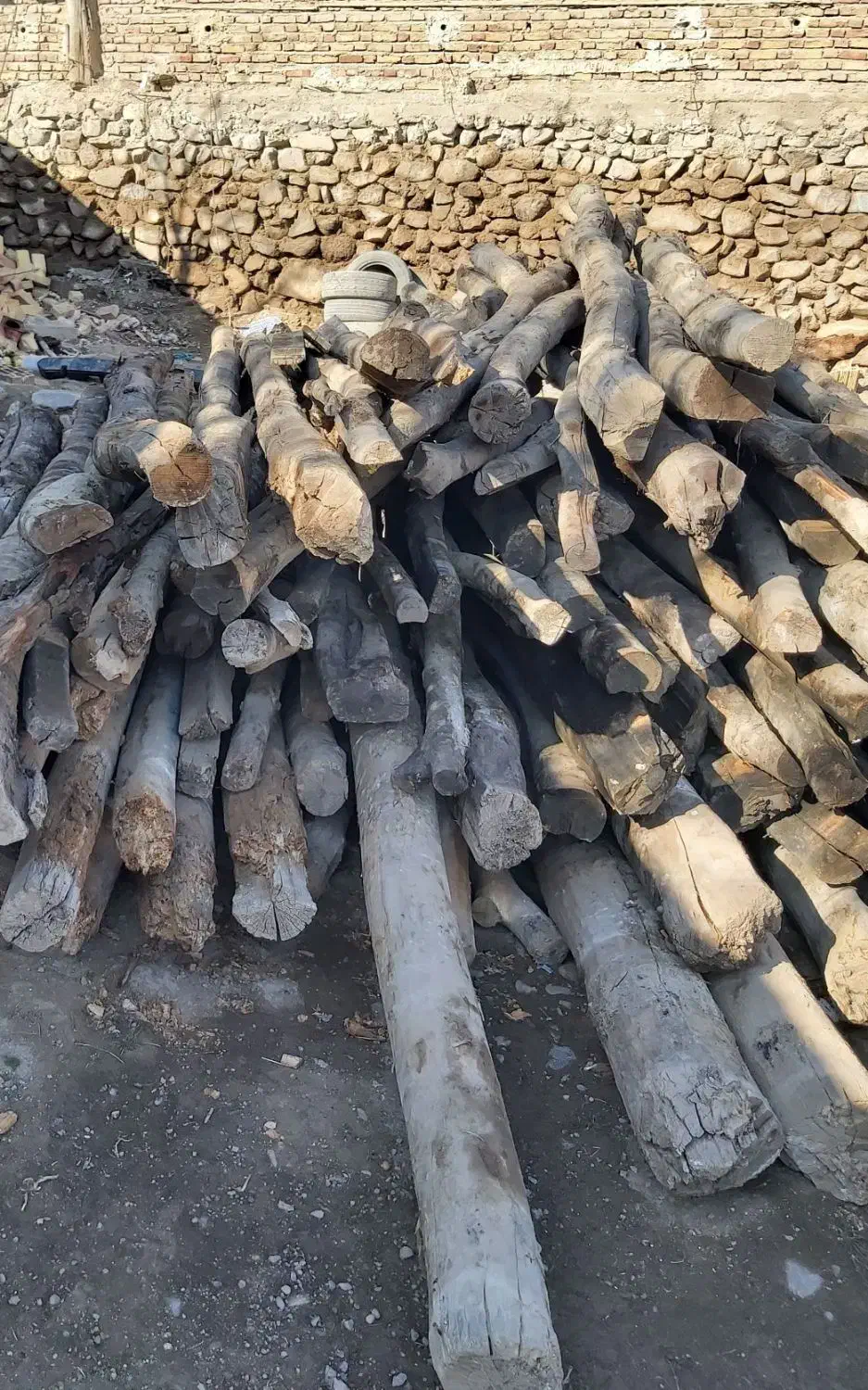 خریدار انواع چوب سقفی و باغی خشک و تر در محل شما|خدمات باغبانی و درختکاری|کرمانشاه, |دیوار