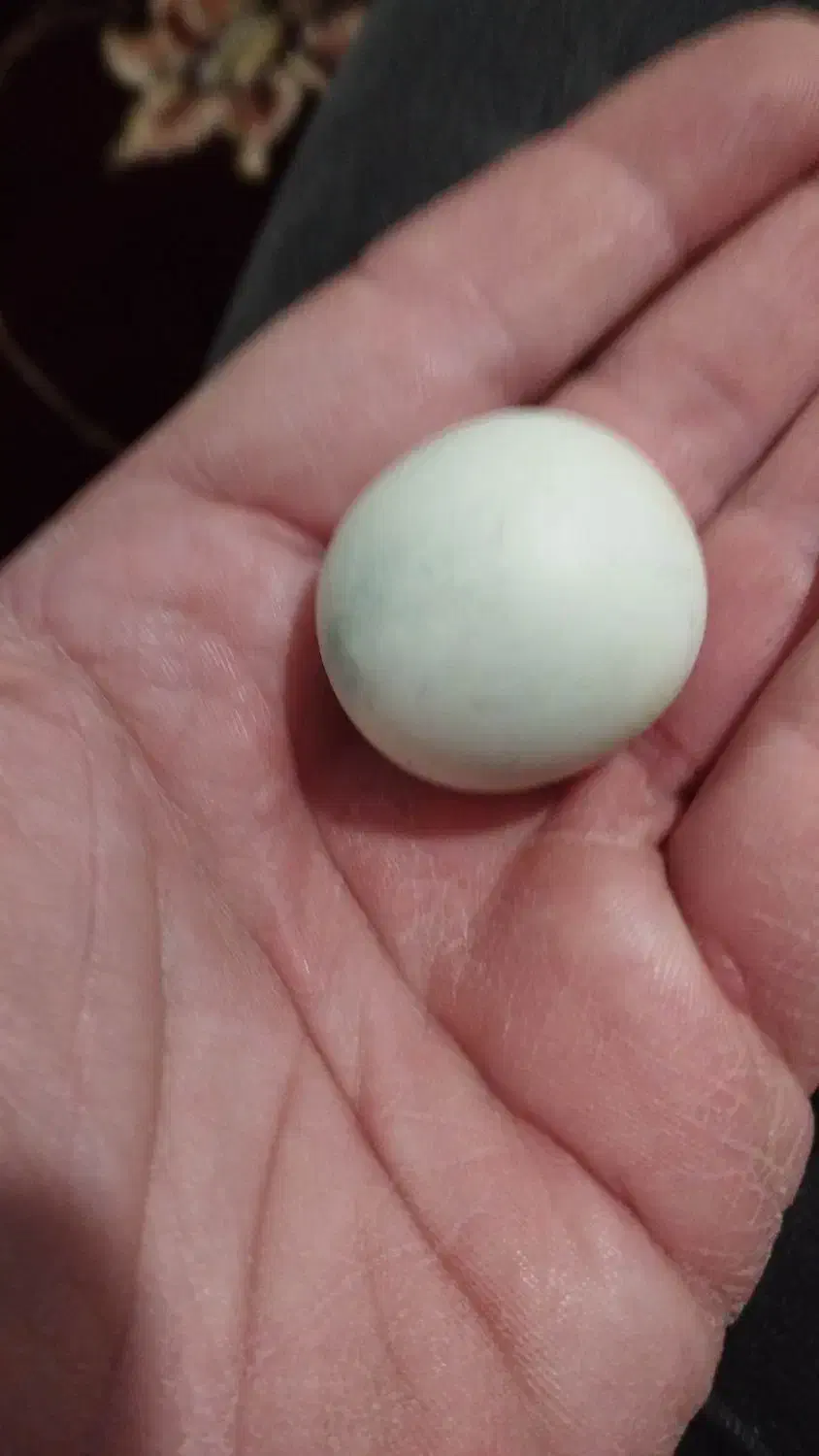 سنگ آسیاب اصل|کلکسیون اشیاء عتیقه|کبودرآهنگ, |دیوار