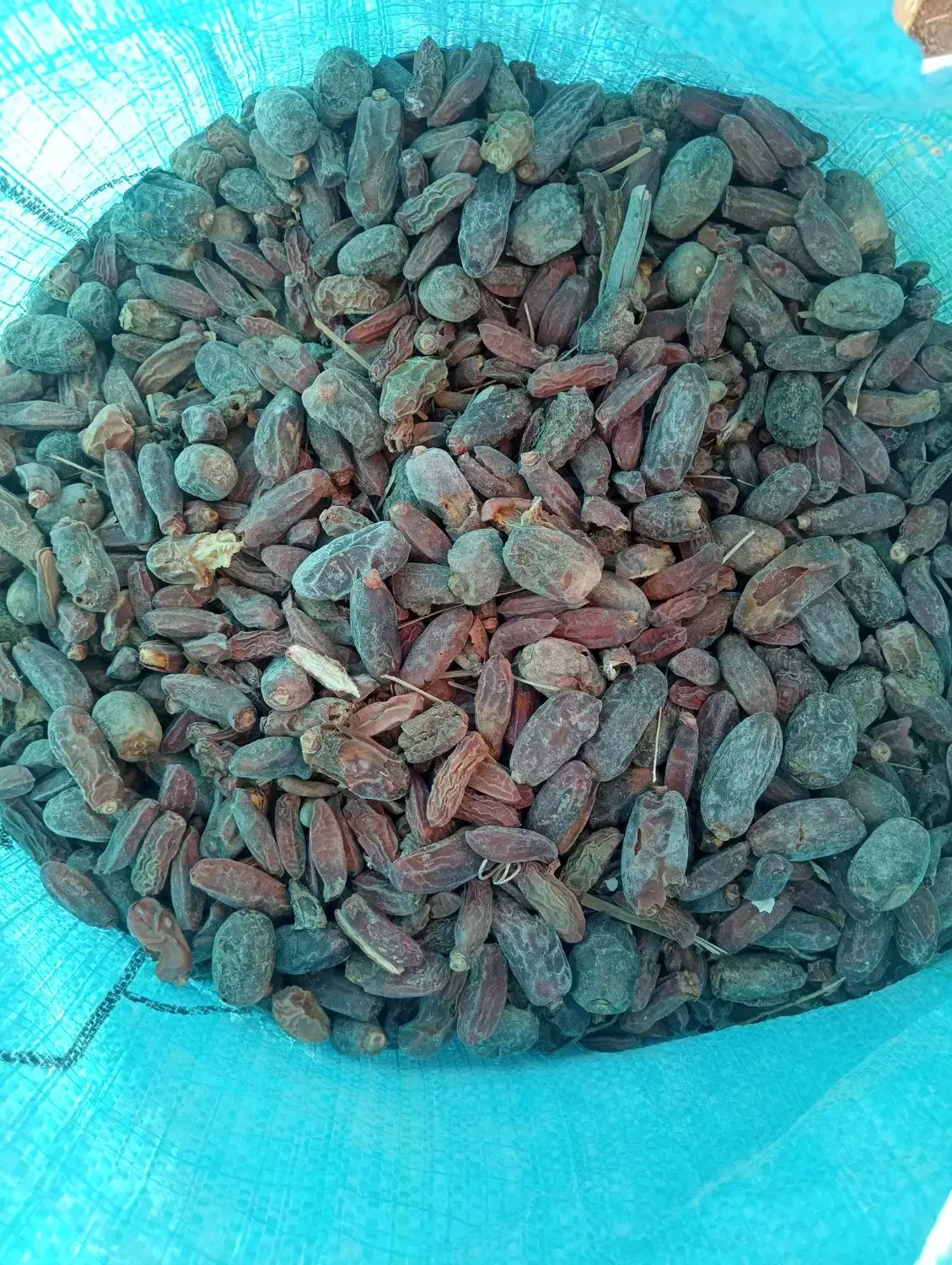 ضایعات خرما|خوردنی و آشامیدنی|خاش, |دیوار