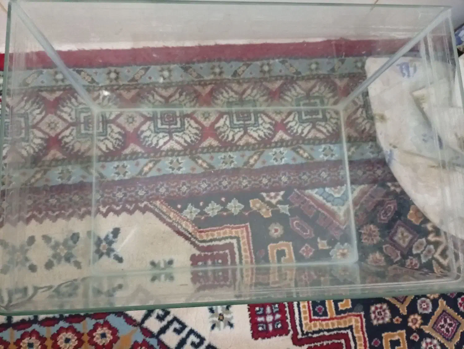 یک آکواریوم بزرگ سالم|ماهی|شیراز, شهدای شهرک سعدی|دیوار