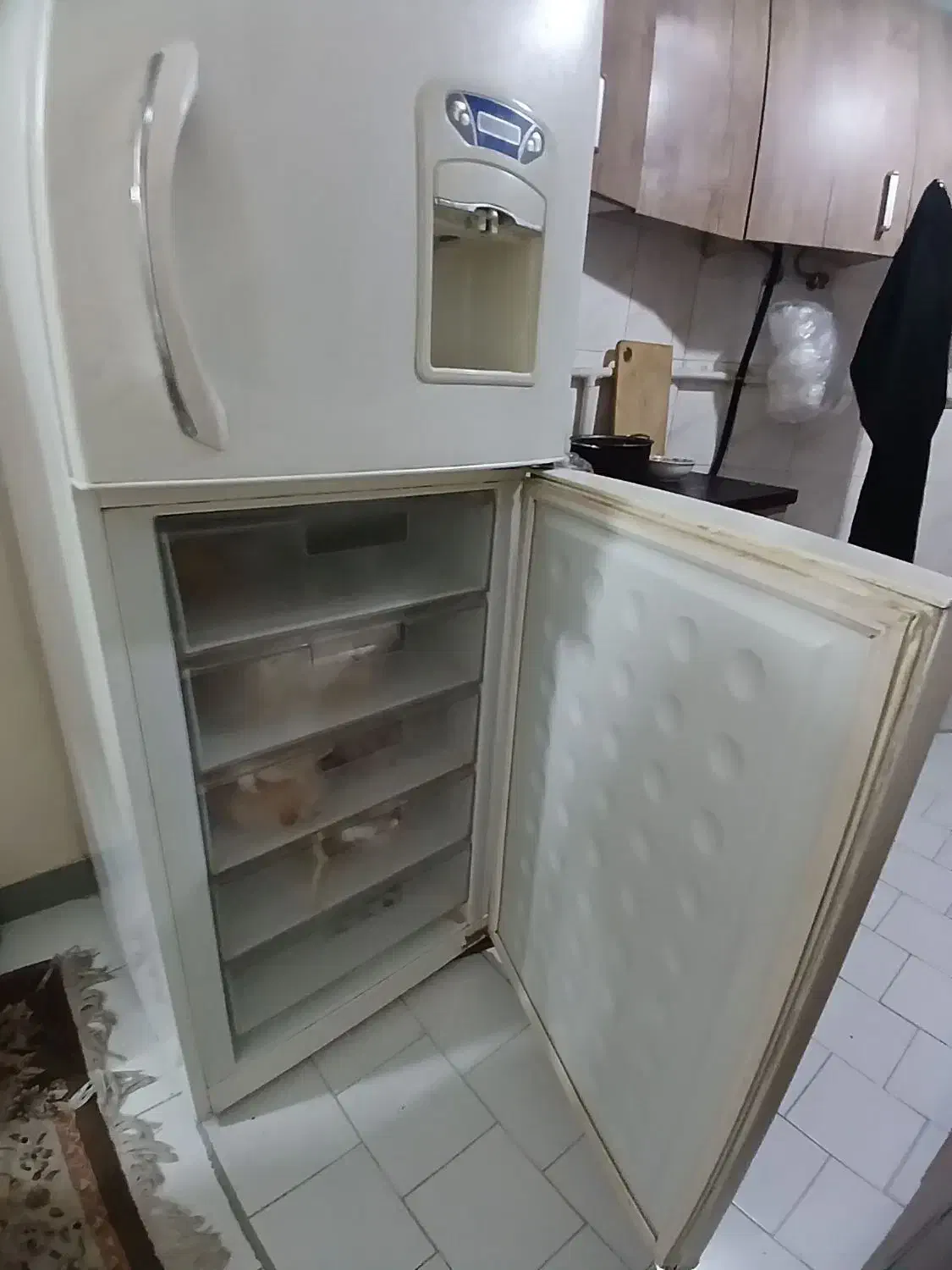 گاز/ ویخچال/|یخچال و فریزر|تهران, منیریه|دیوار