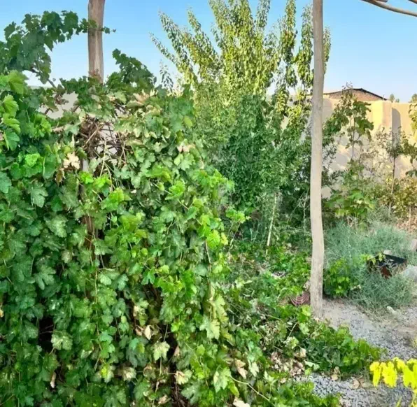 اجاره خانه باغ|اجارهٔ خانه و ویلا|کویرات, |دیوار