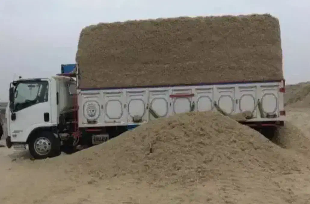 خوراک دام ، کنستانتره پایه باگاس ، نیشکر|حیوانات مزرعه|برخوار, |دیوار