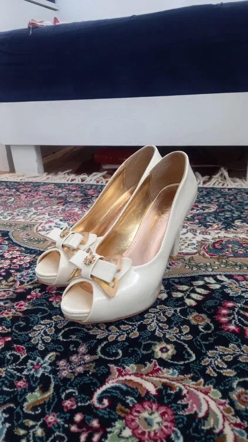 کفش مجلسی|کیف، کفش، کمربند|قروه, |دیوار