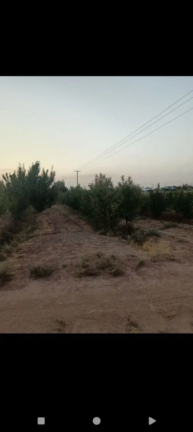 باغ|خدمات باغبانی و درختکاری|زبرخان, |دیوار