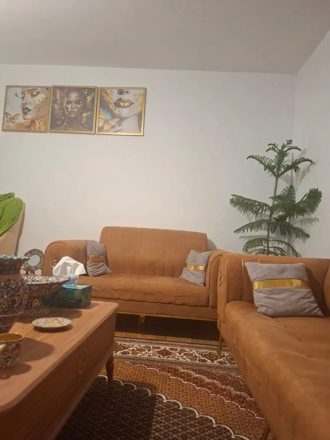 هم خانه آقا