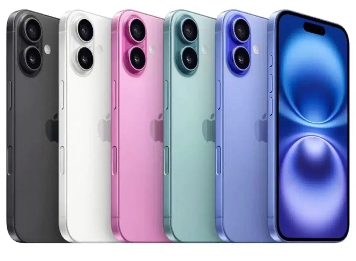 16نرمال|موبایل|بندرعباس, |دیوار