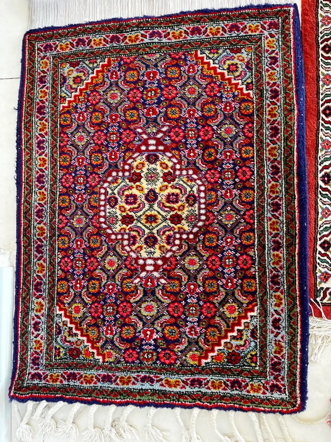 فرش دستبافت کناره|فرش|تهران, زرگنده|دیوار