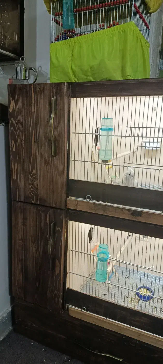 قفس طوطی دوطبقه ضد آب|لوازم جانبی حیوانات|کرج, دولت‌آباد|دیوار