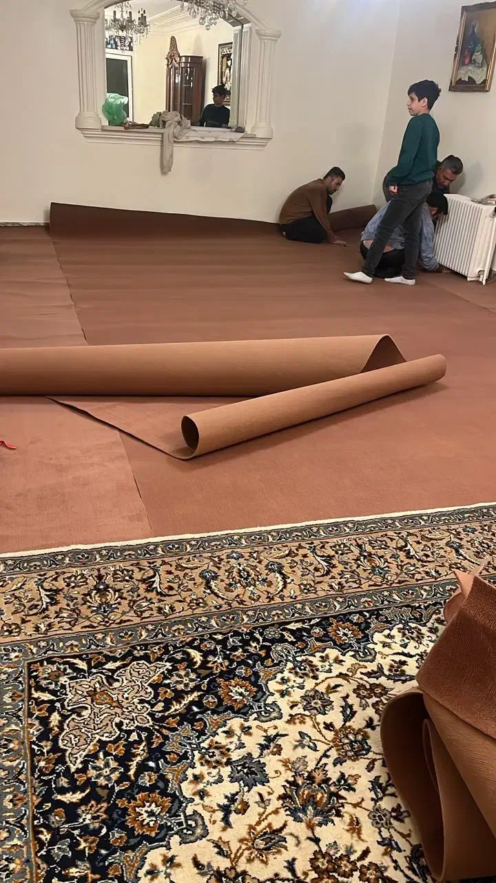 موکت نو|موکت|همدان, |دیوار