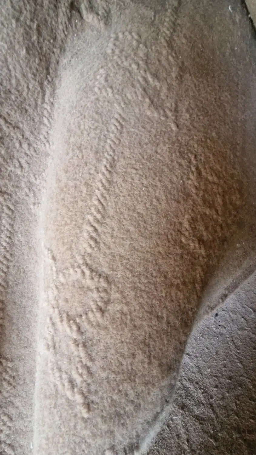 موکت برای خانه|موکت|ابهر, |دیوار