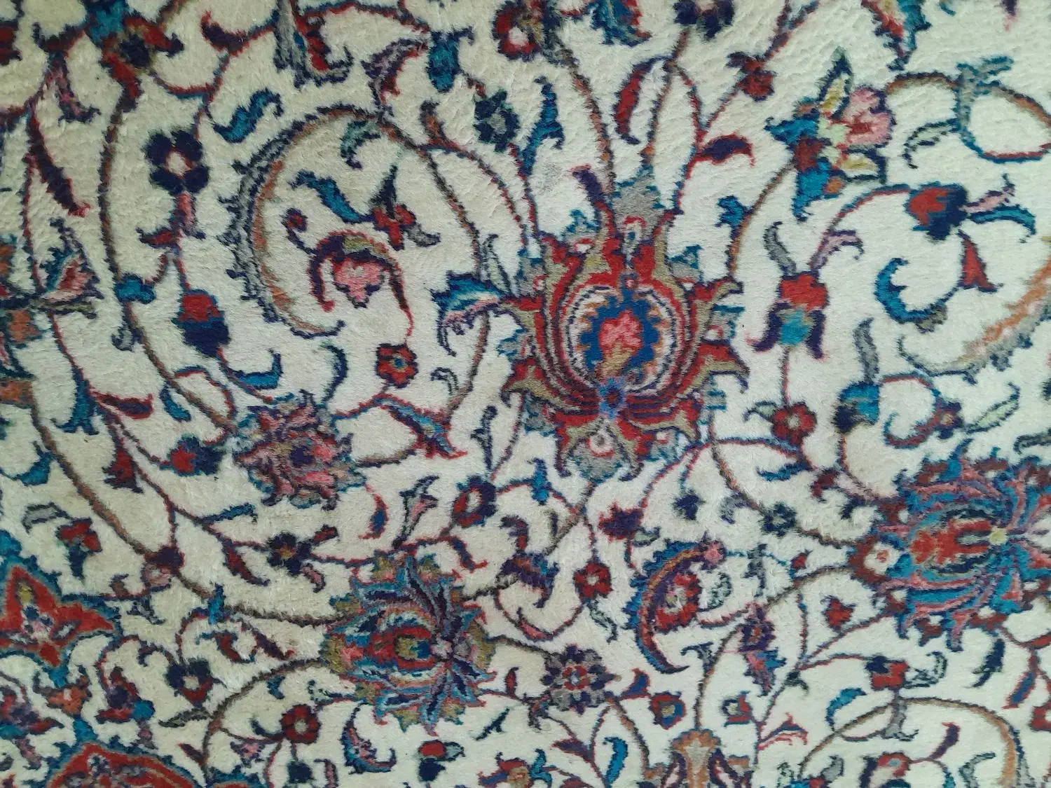 فرش دستباف کاشان ۱۲متری|فرش|شاهرود, |دیوار